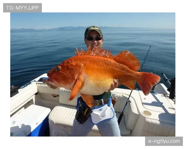 熊朝忠私下买菜用的名牌包，比赛场上还隆重？