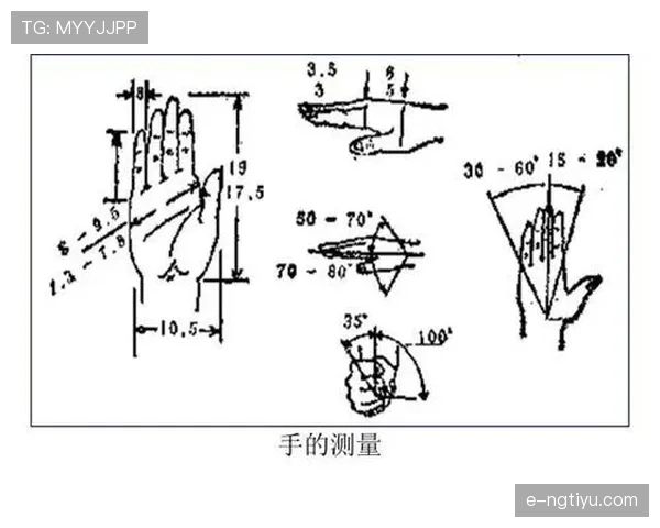 实战中篮球规则“连续动作”判定的要点与适用场景解析
